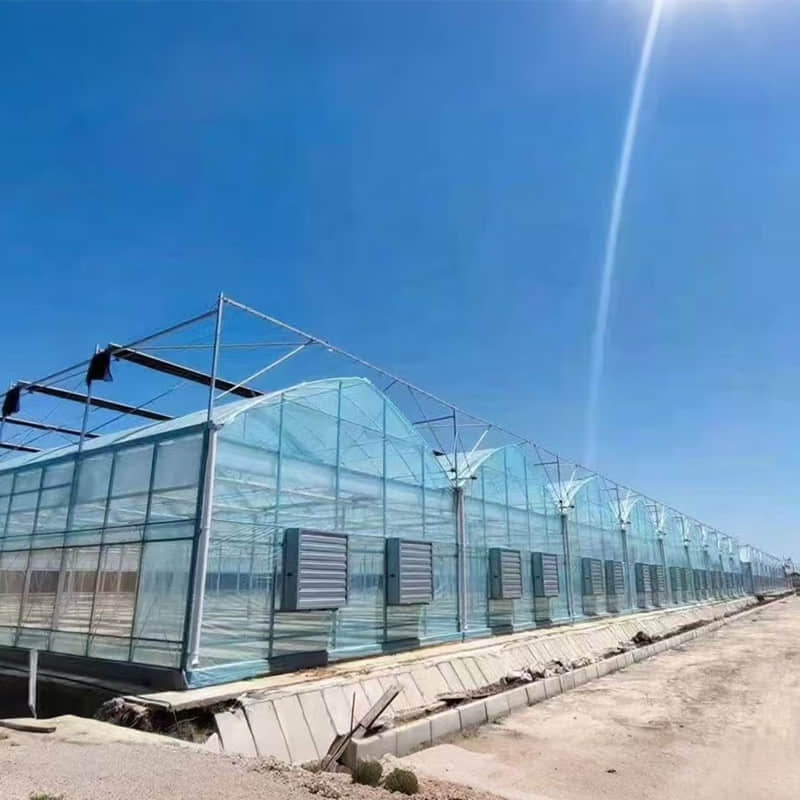 Connected greenhouse / Multi-span greenhouse / Greenhouse framework