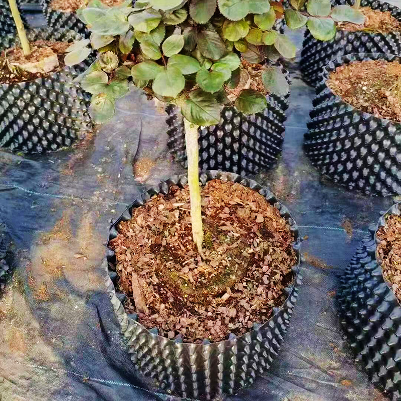 Pot bunga pagar berbudaya tinggi khusus untuk penanaman pohon untuk perangkat kontrol akar untuk men