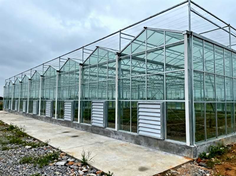 Rumah Kaca Sayur & Buah